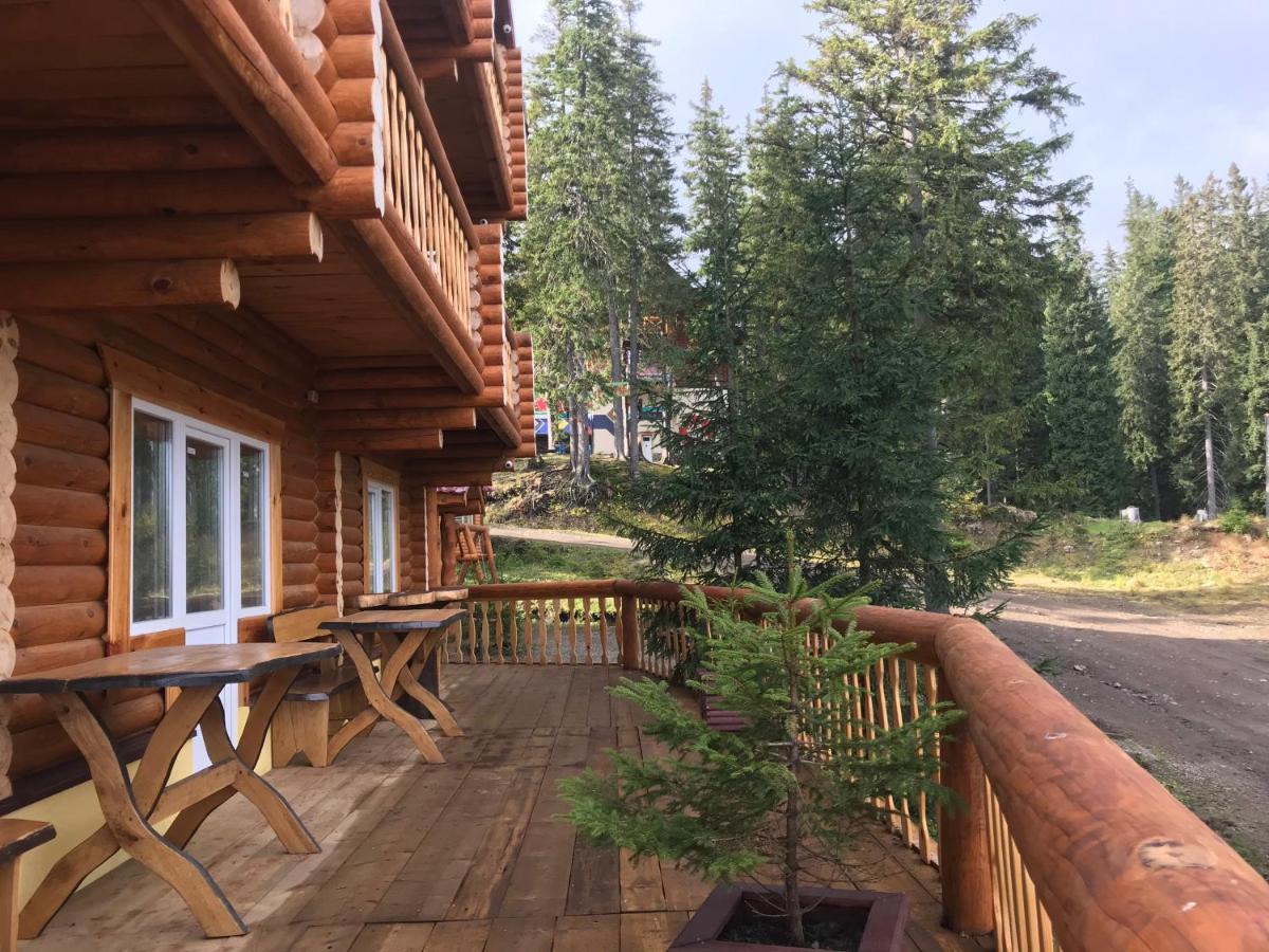 Alpin Eco Chalet & Wellness Dragobrat Exterior foto